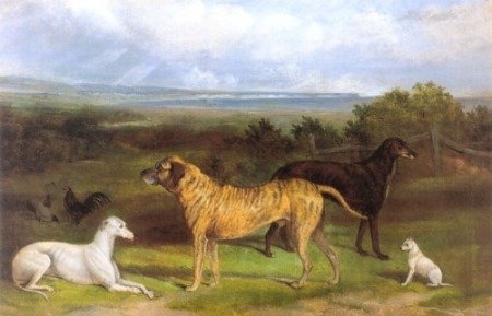 Mastiff art 1863