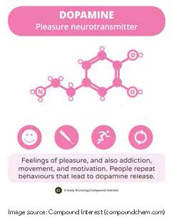 Brain and Dopamine