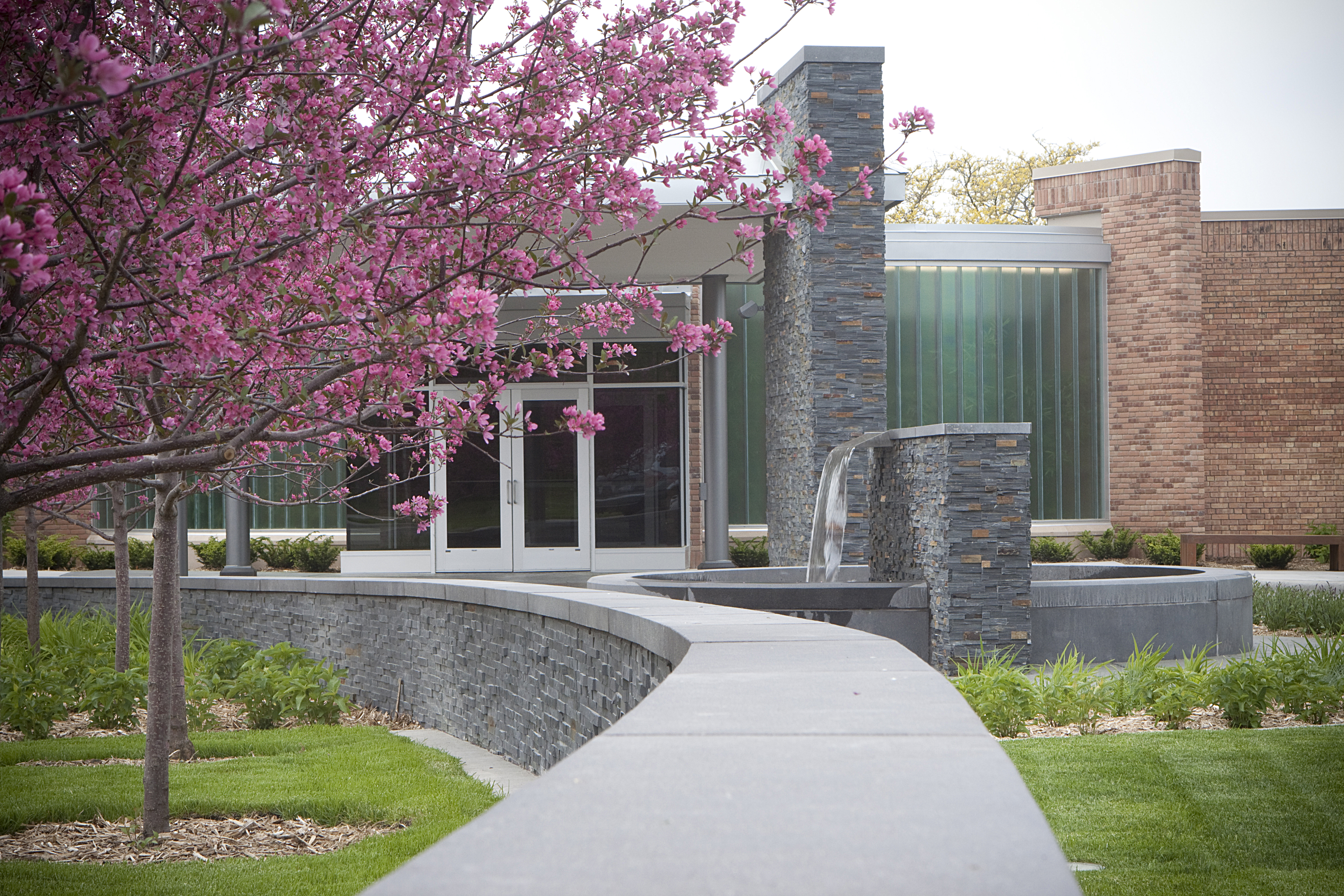 The Center City entrance with a beautiful water feature and a lush tree with pink flowers