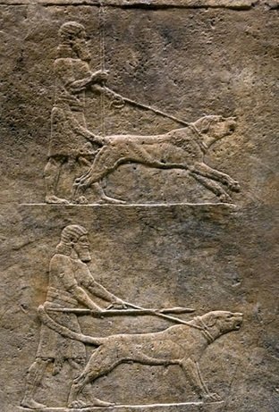 part-of-an-assyrian-relief
